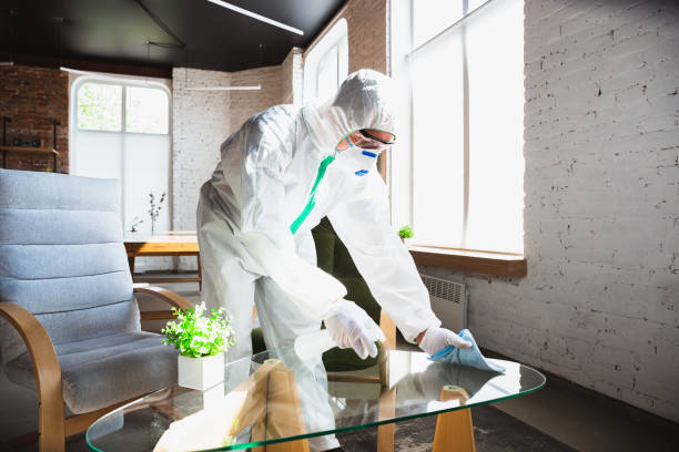 Best Mold Remediation for Healthcare Facilities in Lathrop, CA