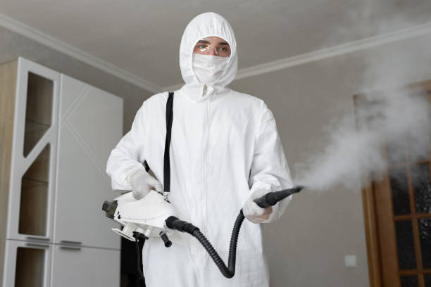 Why You Should Choose Our Mold Remediation Services in Lathrop, CA